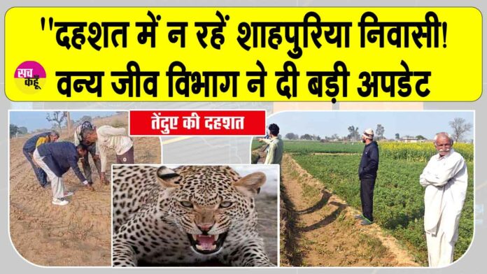 Sirsa Leopard News