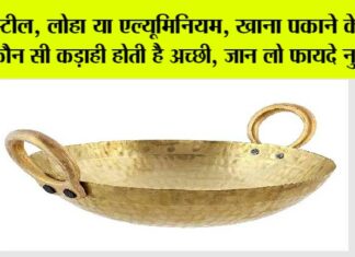 Which Kadai Is Good: सेहत और स्वाद का सही संतुलन, खाना बनाने के लिए कौन सी कड़ाही है सबसे बेहतर? Which Kadai Is Good