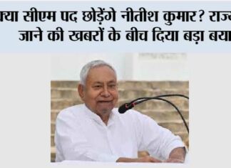 Bihar CM Nitish Kumar: क्या सीएम पद छोड़ेंगे नीतीश कुमार? राज्यसभा जाने की खबरों के बीच दिया बड़ा बयान Bihar CM Nitish Kumar