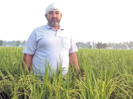 रानियां के किसान बुध सिंह गिल होंगे सम्मानित, सीएम नायब सैनी करेंगे सम्मानित Sirsa News