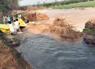 चौटाला माइनर में अचानक दरार आ जाने से किसानों में मचा हड़कंप! Sirsa News