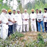 छछरौली ब्लॉक के सचखंडवासी सुरेन्द्र कौर की अस्थियों पर किया पौधारोपण Chhachhrauli News