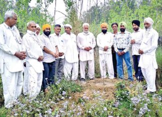 छछरौली ब्लॉक के सचखंडवासी सुरेन्द्र कौर की अस्थियों पर किया पौधारोपण Chhachhrauli News