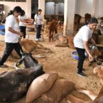 यूथ वीरांगनाओं की पहल! गौसेवा कर दिया करुणा और सेवा का संदेश