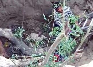 रानियां के डेरा सच्चा सौदा सेवादारों ने बेजुबान का रेस्क्यू कर बचाया जीवन Sirsa News