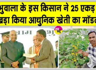 हिसार के सफल किसान, शिव शंकर की देशभर में बेमिसाल पहचान Hisar News