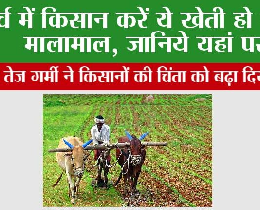 Farmers News