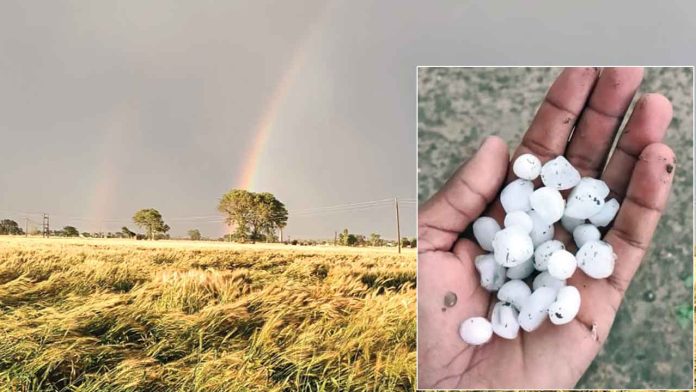 Firozpur News Firozpur News