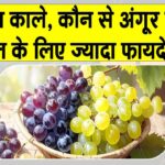 Grapes Benefits