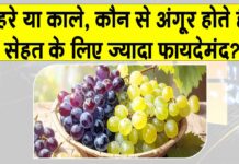 Grapes Benefits