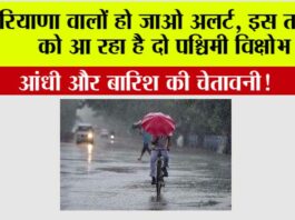 Haryana Weather