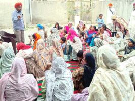 आठ महीनों से नरेगा कामगारों को न काम मिला, न बेरोजगारी भत्ता, बिगड़ा घर का बजट Nabha News