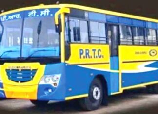 Punjab News: नए रंग में दिखेंगी पीआरटीसी और पंजाब रोडवेज की बसें Punjab News