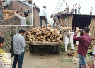 खैर तस्करी पर बड़ा शिकंजा जाटोवाला में स्थानीय पुलिस, सीआईए, वाइल्ड लाइफ व वन विभाग विभाग की संयुक्त रेड, दो घरों से खैर की बड़ी खेप बरामद Pratap Nagar News