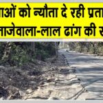 प्रताप नगर से ताजेवाला-लाल ढांग की सड़क पर लगातार दुर्घटनाओं का खतरा Pratap Nagar News