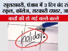 Punjab Public Holidays