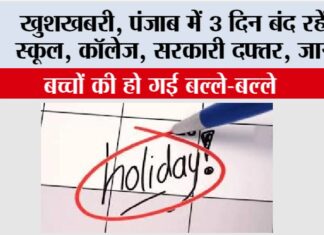 Punjab Public Holidays