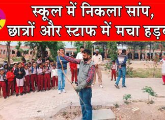Snake News: स्कूल में निकला सांप, छात्रों और स्टाफ में मचा हड़कंप Snake News