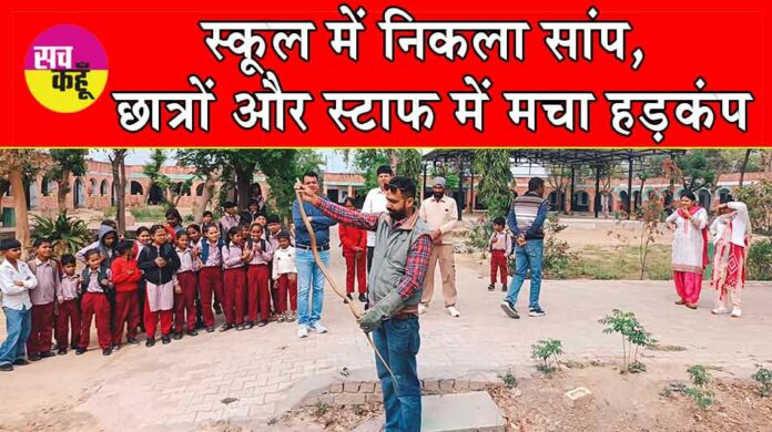 Snake News Snake News