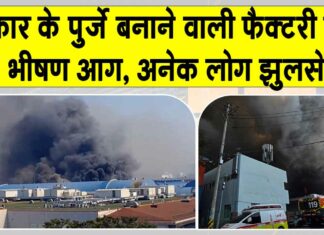 South Korea: दक्षिण कोरिया में मची चीख-पुकार! 50 झुलसे, 35 गंभीर South Korea News