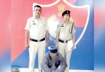 डबवाली पुलिस ने पेड़ चोरी की वारदात सुलझाई, एक आरोपी काबू Sirsa News