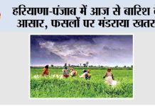 किसानों के माथे पर खिंची चिंता की लकीरें, 1 अप्रैल तक रह सकता है मौसम में बदलाव