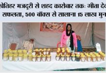 Beekeeping: खेतिहर मजदूरी से शहद कारोबार तक: गीता देवी की सफलता, 500 बॉक्स से सालाना 15 लाख मुनाफा Beekeeping