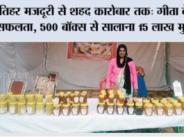 Beekeeping: खेतिहर मजदूरी से शहद कारोबार तक: गीता देवी की सफलता, 500 बॉक्स से सालाना 15 लाख मुनाफा Beekeeping