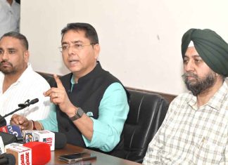 CM Roshan Punjab Yojana