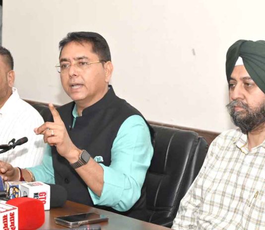 CM Roshan Punjab Yojana