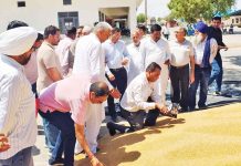 ऐलनाबाद एसडीएम ने रानियां में किया मंडी का निरीक्षण, गेहूं खरीद शुरू Sirsa News