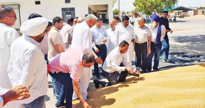 Sirsa News Sirsa News