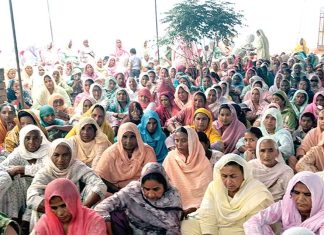 सचखंडवासी जरनैल कौर इन्सां को मानवता भलाई का ये काम करके दी श्रद्धांजलि Dabwali News