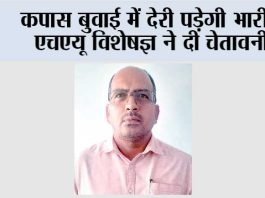 कपास बुवाई में देरी पड़ेगी भारी, एचएयू विशेषज्ञ ने दी चेतावनी Hisar