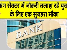 Indian Bank Jobs