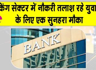 Indian Bank Jobs