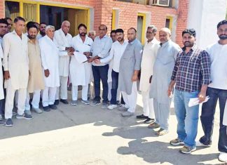 Farmers News: किसानों ने की ओलावृष्टि से बर्बाद हुई गेहूँ की फसल की स्पेशल गिरदावरी की मांग Sirsa News