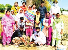 ब्लॉक मसीतां में अस्थियों से परोपकार! सचखंडवासी जरनैल कौर इन्सां को भावभीनी श्रद्धांजलि Dabwali News