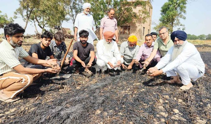 Sirsa News Sirsa News