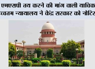 MSP: एमएसपी तय करने की मांग वाली याचिका पर उच्चतम न्यायालय ने केंद्र सरकार को नोटिस भेजा New Delhi