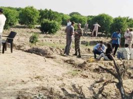 Pakistani Smugglers Arrested: भारत-पाक सीमा पर पाक तस्करों ने गिराई 12 किलो हेरोइन, उठाने आए दो युवक काबू Sri Ganganagar News