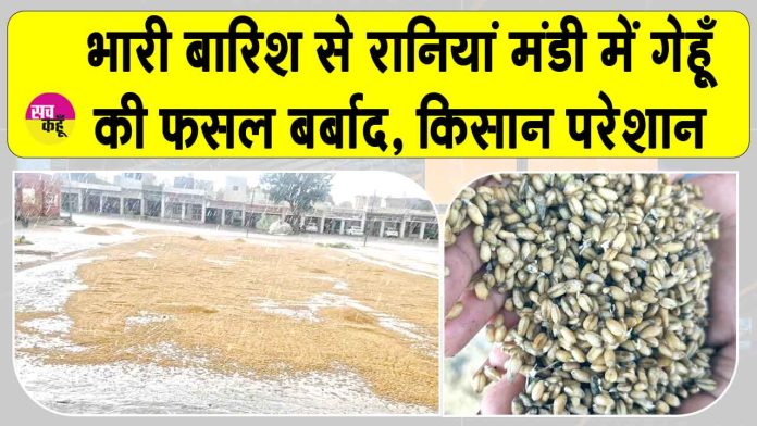 Sirsa News Sirsa News