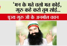 Saint Dr MSG