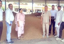 सचिव सुदेश कुमारी ने मंडी में व्यवस्थाओं का लिया जायजा Tosham News