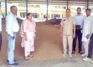 सचिव सुदेश कुमारी ने मंडी में व्यवस्थाओं का लिया जायजा Tosham News